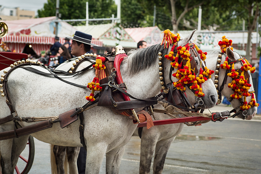 Crotal bells on horses at the Feria de Abril in Seville, Spain